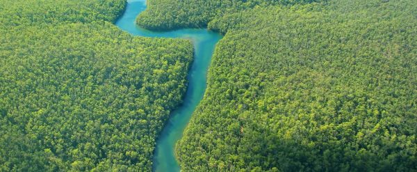 Desenvolvimento Sustentável
